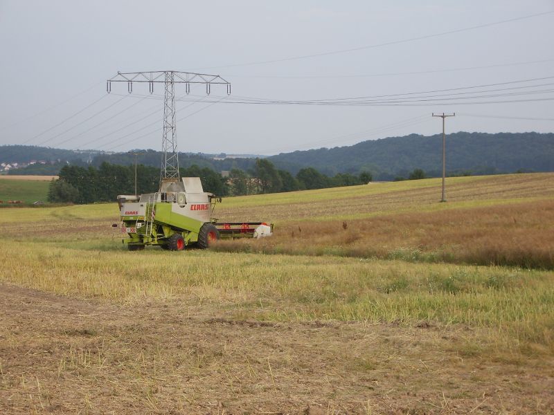 Claas Lexion 480 13.jpg